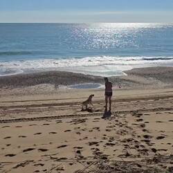 😍🐕‍🦺❤️🐾