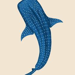 Zeichnet ufem iPad mit Procreate