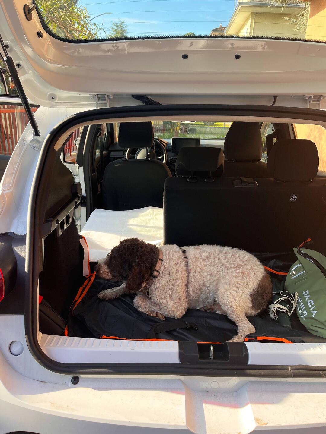 Victoria coming for the journey