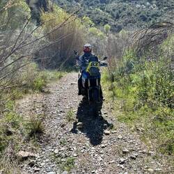 Wege werden schmaler