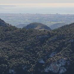 Ziemlich in der Bildmitte erkennt man die Kathedrale von Palma.