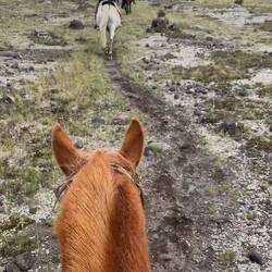 Das da vorne bin ich! 10 Jahre reiten hat sich gelohnt