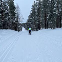 Super Bedingungen auf der Loipe.