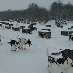 Ein netter Mitreisender hat dieses Video von uns gemacht