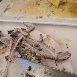 Die Sardellen zum Abschluss waren dann auch das Beste am Menü.