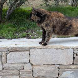Ina verlangt zu Fuß weiter zu gehen.