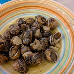 Schnecken sind OK. Geschmacklich ist da aber viel Luft nach oben.