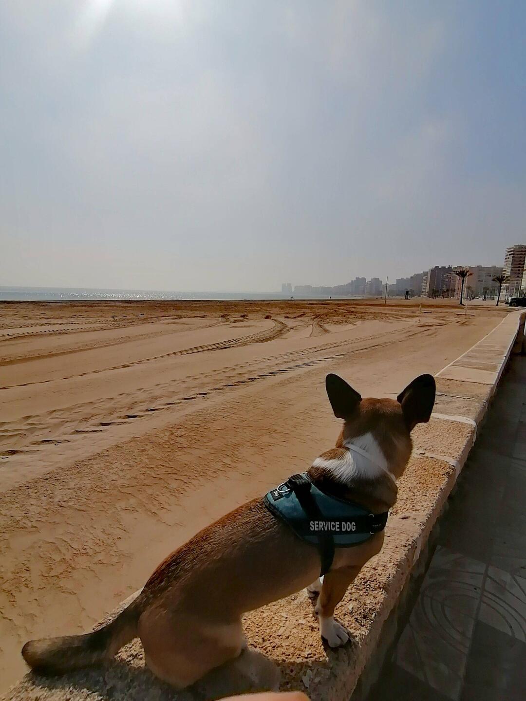 Alles wieder ordentlich