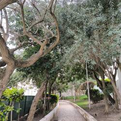 Weg durch die Hinterhöfe