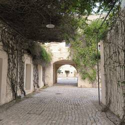 Eingang zum ehemaligen Zisterzienserkloster, durch das Gitter fotografiert