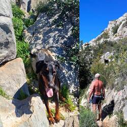 Lesley braucht teilweise Hilfe,aber macht das prima 👌🏻🐾❤️