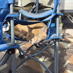 Hier fühlt sich jemand richtig wohl bei uns