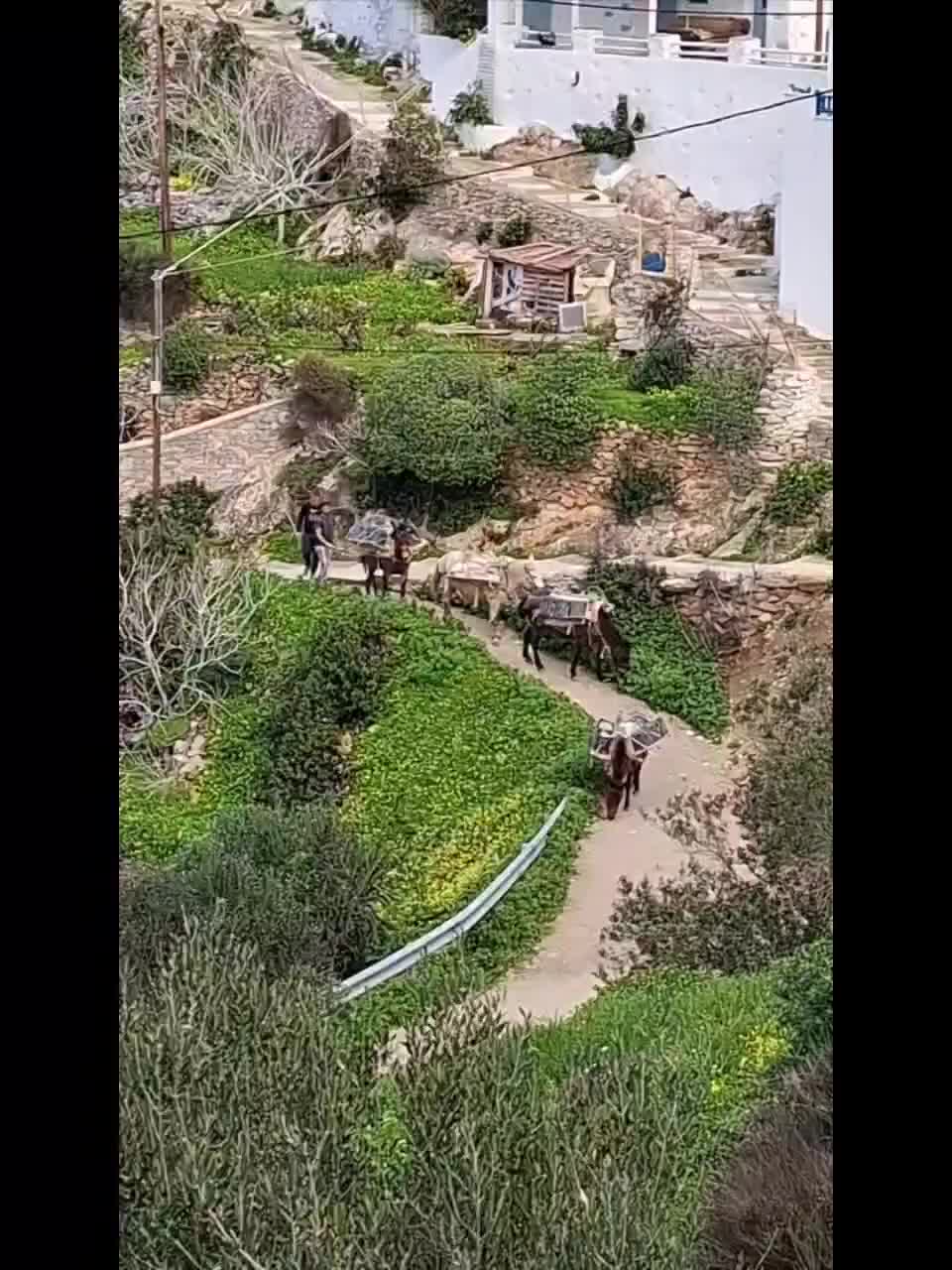 Vidéo-diaporama entre Ano Potamos et Agios Mamas