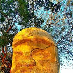 Der lag einfach so da.