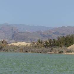 Blick auf die Dünen