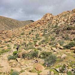 Ganz oben ist unser Ziel