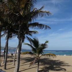 Noch mal zur Strandpromenade....