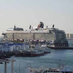 Das Schiff ist morgens schon da....