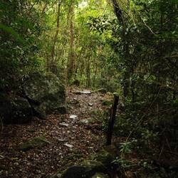 Wanderweg zum Hostel