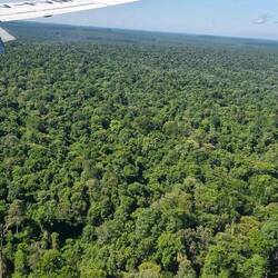 Anflug...sieht schon chli dschungelig aus