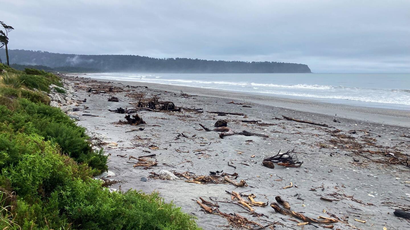 Bruce Bay with much timber brought down by the glacial rivers