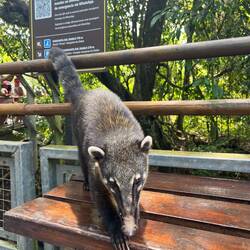 Hello Friend