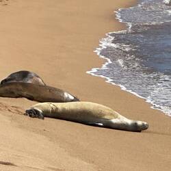 Nein, keine Sandsäcke.... 🫣