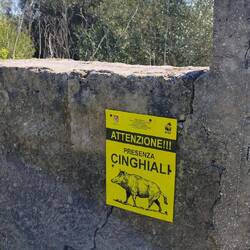 Upps, denen möchte ich nicht begegnen