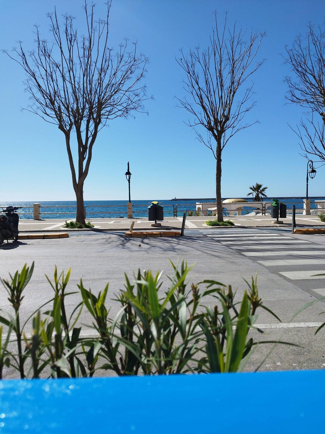 So lässt sich ein Gelato genießen 👍