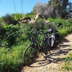Nun geht's lieber zu Fuß weiter