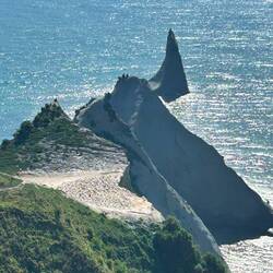 Another colony down below