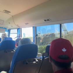 Driving up to the colony