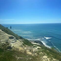 And a 3rd colony way down below