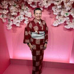 im kunstvoll drapierten Kimono