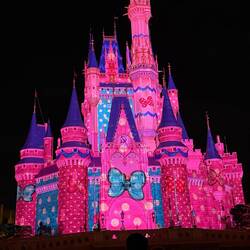 It's a Minnie special here at Tokyo Disney.