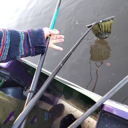 Will's caught a big one and Mr Whiskers is there to 'help' 😬