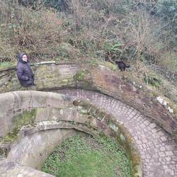 Mr Whiskers insisted on accompanying the dog walk. We had to turn back when he began crying 🙄