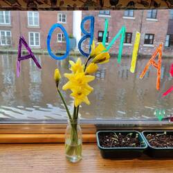 Fallen roadside daffs and newly sprouted seedlings brightening our day