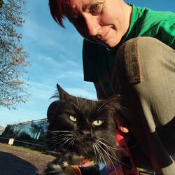 A post op Mr Whiskers wanting to be out exploring