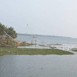 Wieder die chinesischen Fischernetze