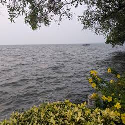 Das Hotel liegt direkt an den Backwaters, am Vembanad See