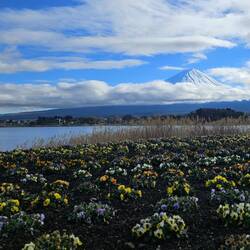 L'opportunité n'a duré que quelques minutes,