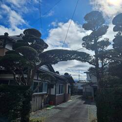 et sans prévenir il s'est (un peu) dévoilé, et j'ai cru à une blague: