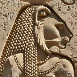 Die Löwin als Zeichen für Kraft und schnellen Tod