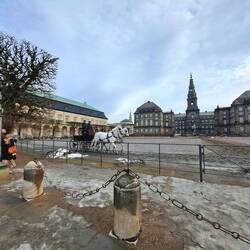 Am Schloss Christiansburg werden die königlichen Schimmel bewegt