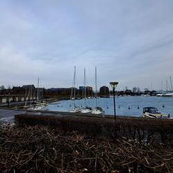 Zugefroren...das gab es schon lange nicht mehr in Kopenhagen