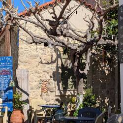 Hier gibts Kaffee-Latte mit Kakoapulver und Kardamon auf dem Milchschaum. Lecker.