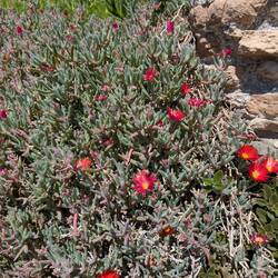 Wir sind ich Richtung Westen unterwegs. Die Vegetation wird vielschichtiger,