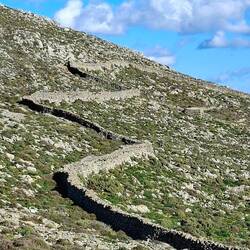 Mur-serpent 😲😍