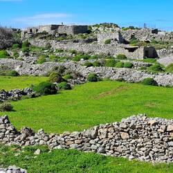 Terres familiales de Raidouri, quittées en 1970 pour bosser partout en Europe, avant de revenir ici